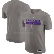 Maglia Manica Corta Los Angeles Lakers Practice Performance 2022-23 Grigio