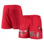 Pantaloncini Chicago Bulls Pro Standard Mesh Capsule Rosso