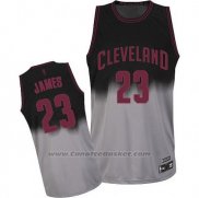 Maglia Fadeaway Moda LeBron James #23 Grigio