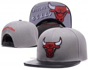 Cappellino Chicago Bulls Grigio Nero8