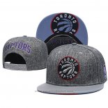 Cappellino Toronto Raptors Grigio
