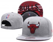 Cappellino Chicago Bulls Grigio