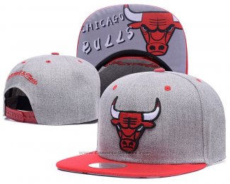 Cappellino Chicago Bulls Grigio Rosso2
