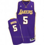 Maglia Los Angeles Lakers Carlos Boozer #5 Viola