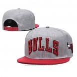 Cappellino Chicago Bulls Rosso Grigio