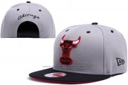 Cappellino Chicago Bulls Snapbacks Grigio